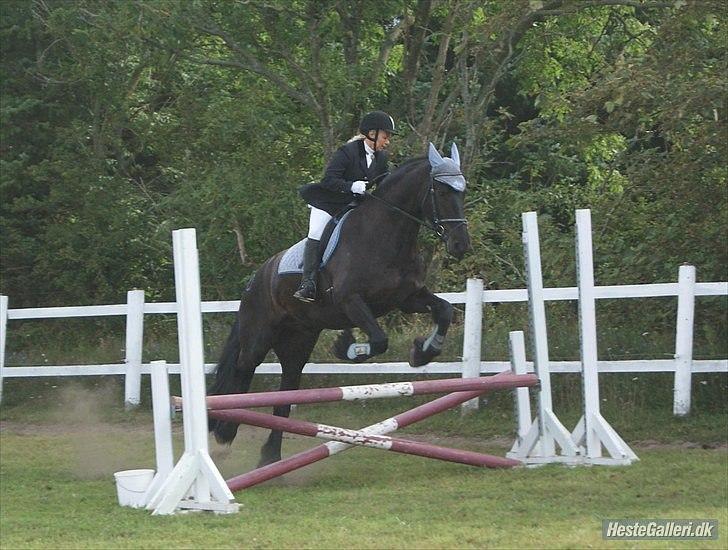 Frieser Diablo - spring stævne - 2010 LE på NMRC billede 11