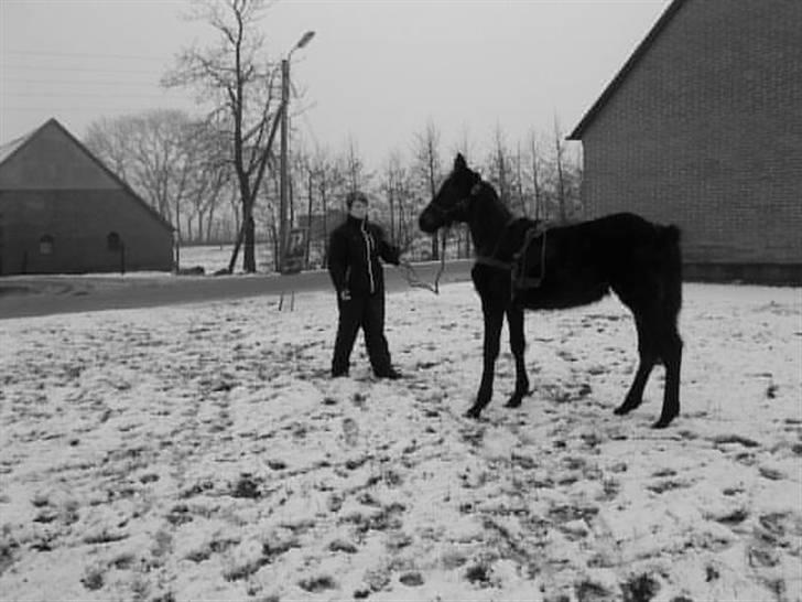 Traver Real Second Chance R.I.P† billede 7