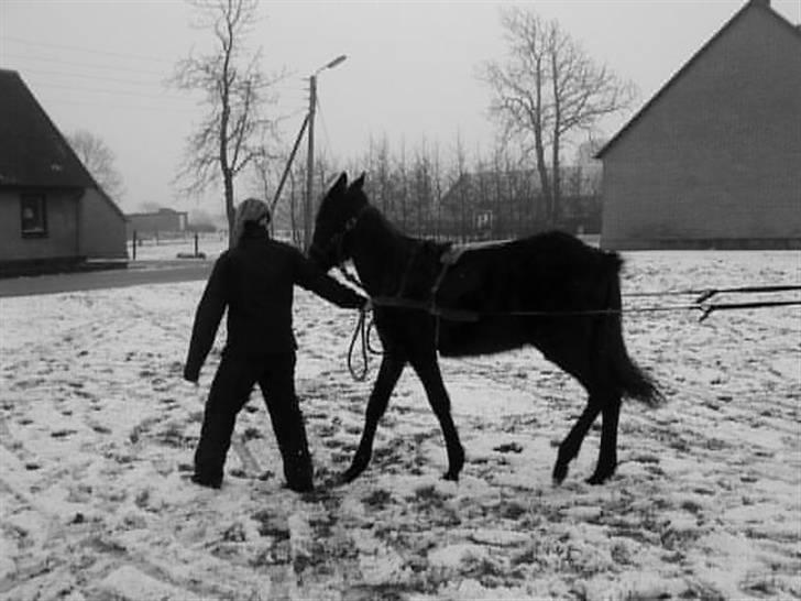 Traver Real Second Chance R.I.P† billede 11