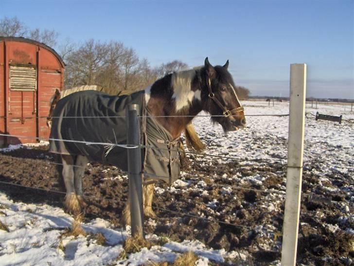 Tinker Juncker billede 8