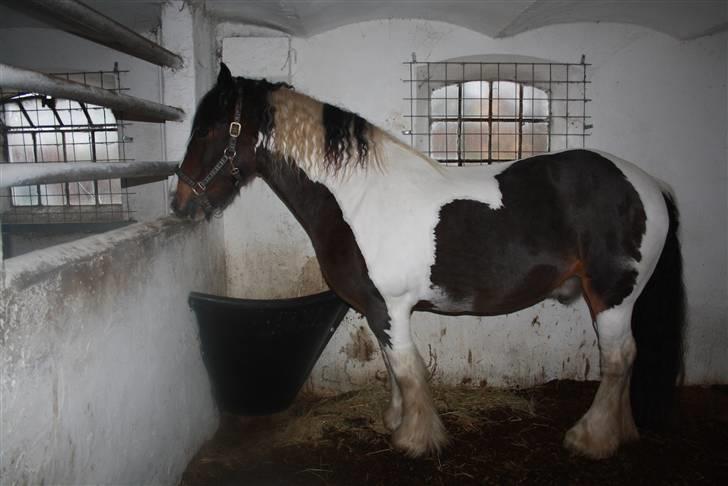 Tinker Juncker billede 10