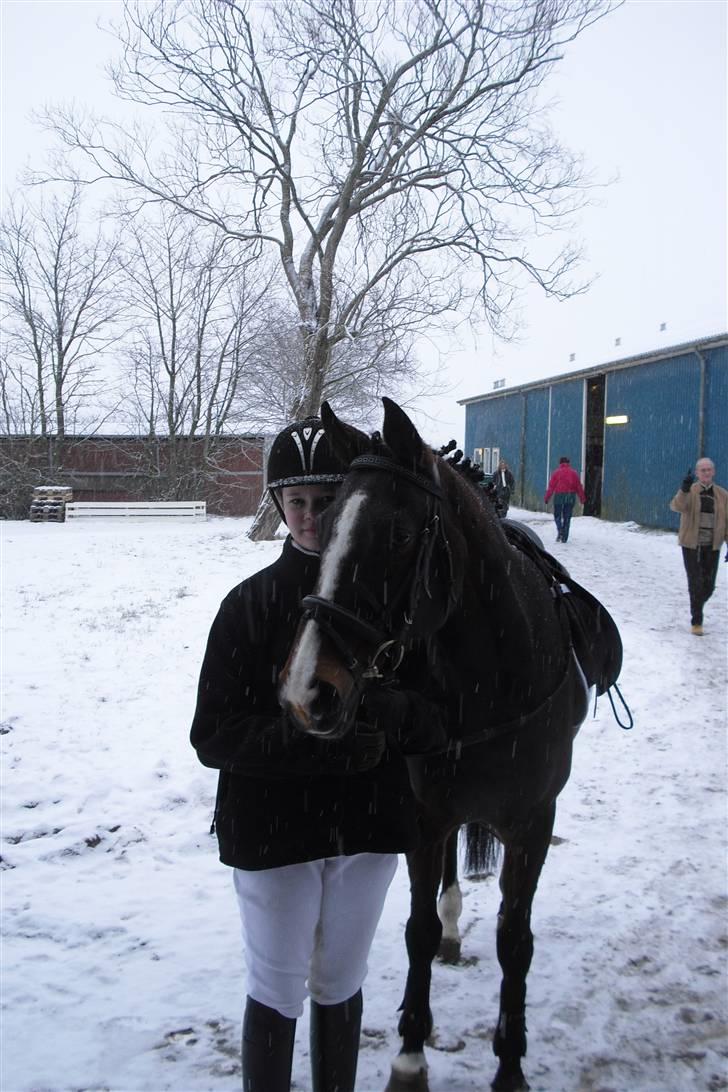 Hollandsk Sportspony O'mienaisha (†09) 10/4-09 - du gjorde mit liv værd. billede 16