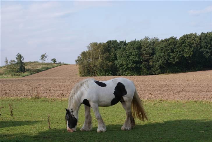 Tinker Katinka billede 3