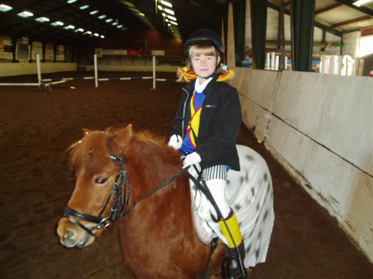 Shetlænder Lise - hun er pippi :D<33 billede 10