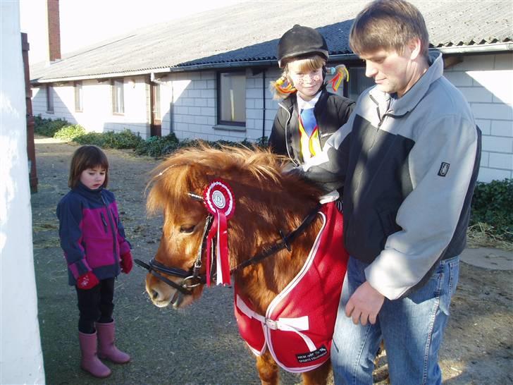 Shetlænder Lise - Det bliv til en føste plads :D hun var mega go :D<333 billede 12