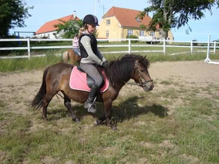 Anden særlig race Beautiful SouL ( solgt ) - 11 gang hun riddes, 17-juni-09 første gang hun  riddes af en anden pige. billede 16