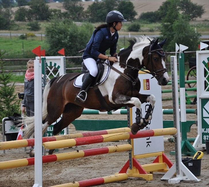 Pinto Indie (PONY) - Kjellerup c-stævne :-) billede 8