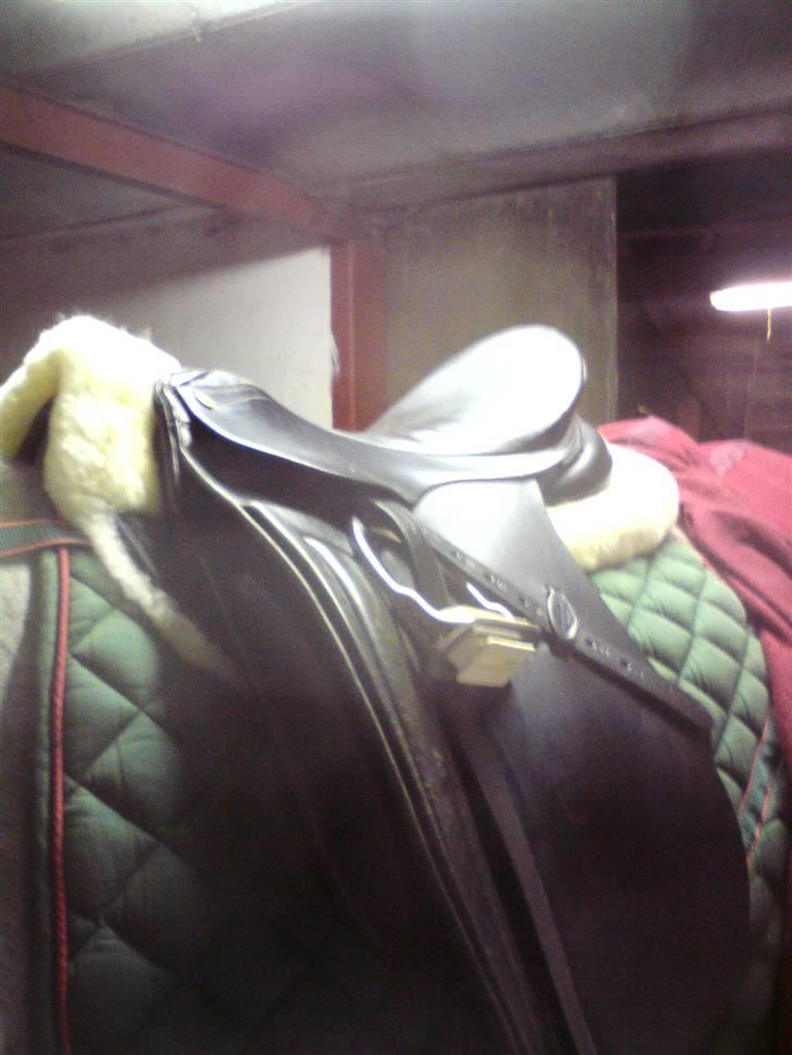 Connemara Nygaards Kisser - Nyt lammeskindsunderlag ;D billede 19