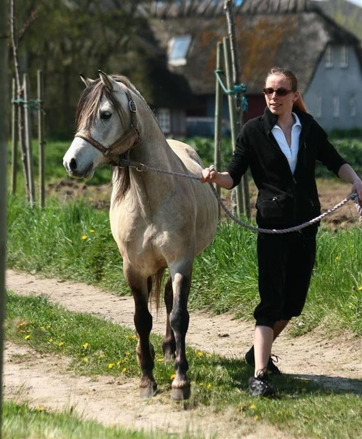 Anden særlig race Roosgårdens Cornelius  - Cornelius & hans ejer :) Foto: Anne Cecilie G billede 14