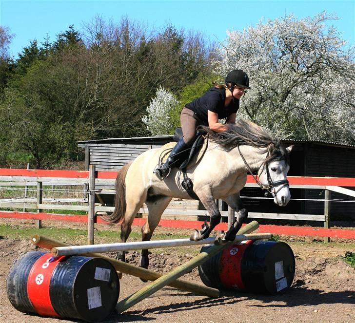 Anden særlig race Roosgårdens Cornelius  - hahaha!! Springer første gang på bane sammen Foto; Mikkel L billede 18