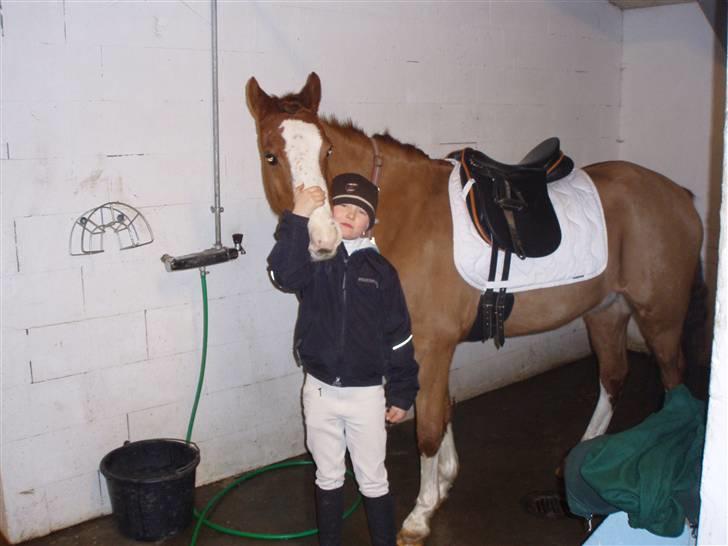 Anden særlig race Simba - Vi gør klar til stævne i Frederikshavn<33 billede 1