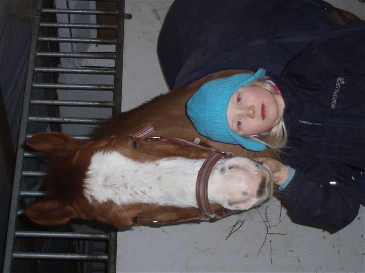 Anden særlig race Simba - Hygge i Simbas boks billede 2