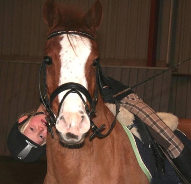 Anden særlig race Simba - en hyggestund efter ridning billede 3