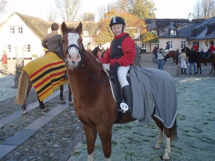 Anden særlig race Simba - Jagt på Skårupgård nov.2008 Det var bare fedt. billede 6