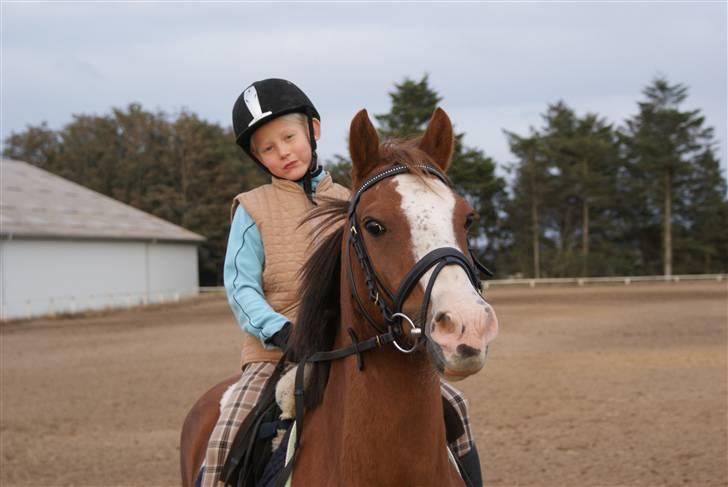 Anden særlig race Simba - Simba og mig på en af vores allerførste rideture sammen billede 11