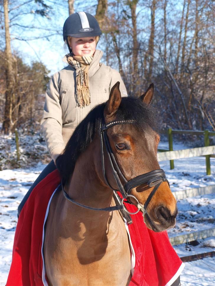 Anden særlig race Moonlight - Cecilie & Moon i sneen - Fotograf: Cathrine Dufour billede 4