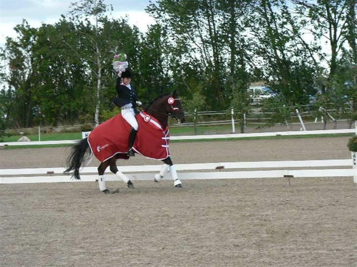 Anden særlig race Moonlight - Moonlight <3  billede 5