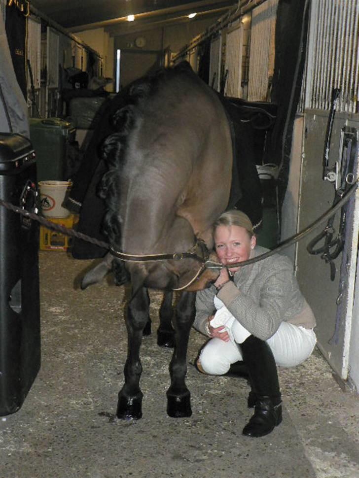 Anden særlig race Moonlight - Moonlight i Frederikshavn :) billede 16