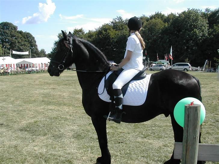 Frieser Jelle - bregentved kvadrille 08 billede 6