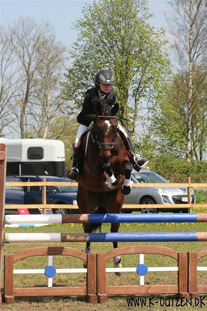 Anden særlig race Manuela  billede 9