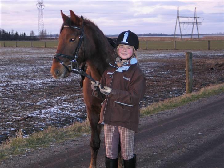 New Forest Sheridon - "så skal jeg op og have mad... neej hvor jeg glæder mig" billede 8