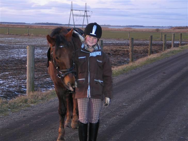 New Forest Sheridon - din lille tigger <3 billede 10