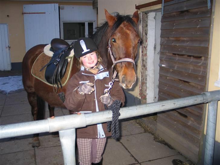 New Forest Sheridon - vi skal kigge ind i kameraet... billede 11