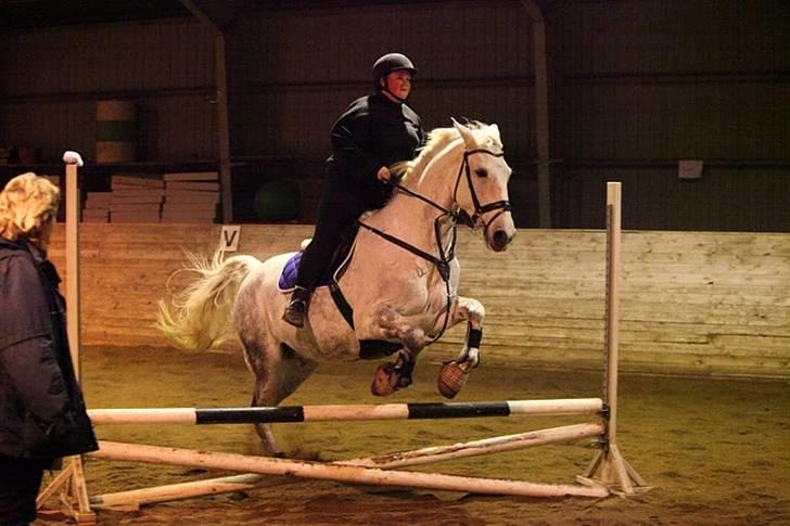 Anden særlig race Star Light Silver - Solgt billede 18