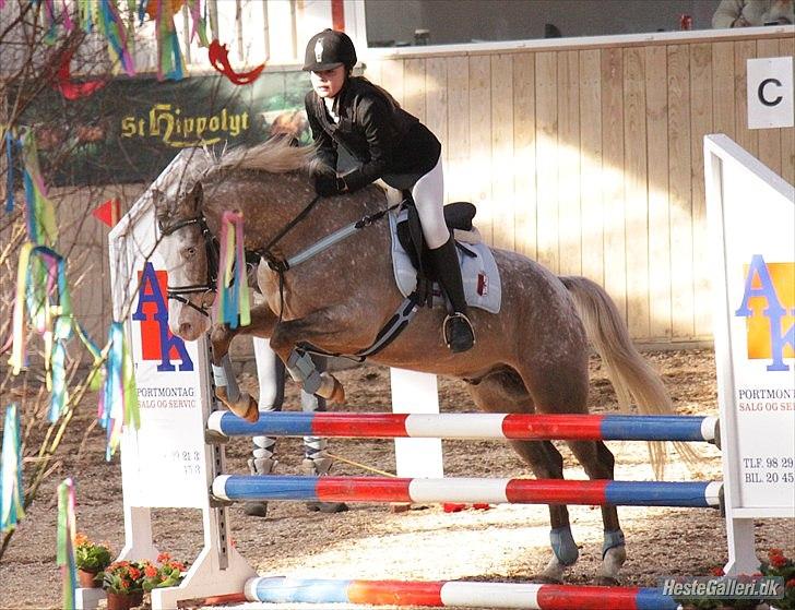 Anden særlig race Roosgårdens Cosmopolitan *Udlånt* - Stævne LRF - LB.- met. A - nulrunde...:) Fotograf:  © NB ©: billede 11