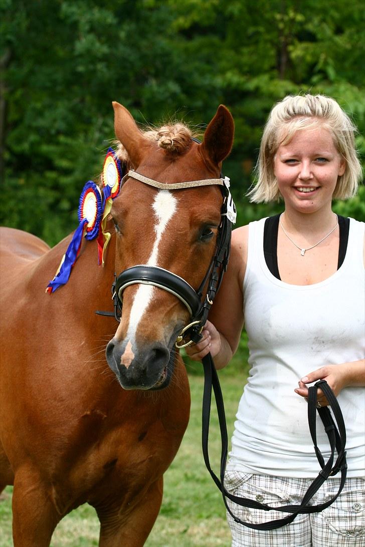 New Forest Fencer Blue Skønager - vores flotte rosetter efter Eksteriør bedømmelse ved mønstring Gik Fløj med 23 point + Æresprømie :D af Camilla Rosenlund / CR-FOTO billede 19