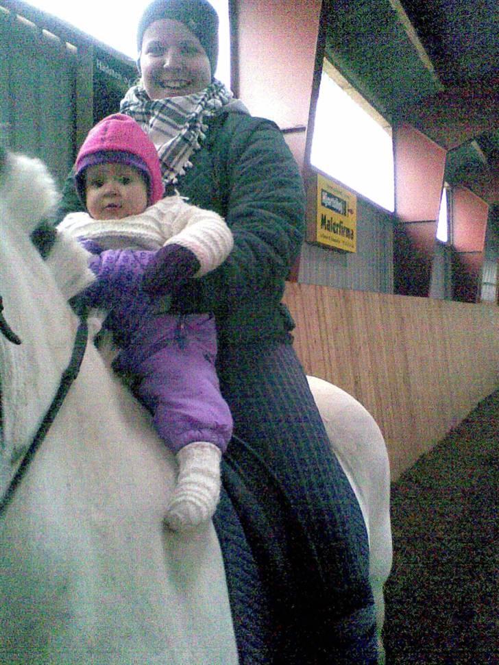Fjordhest Prins (Solgt) - Prins med min datter på 8 måneder og mig billede 15