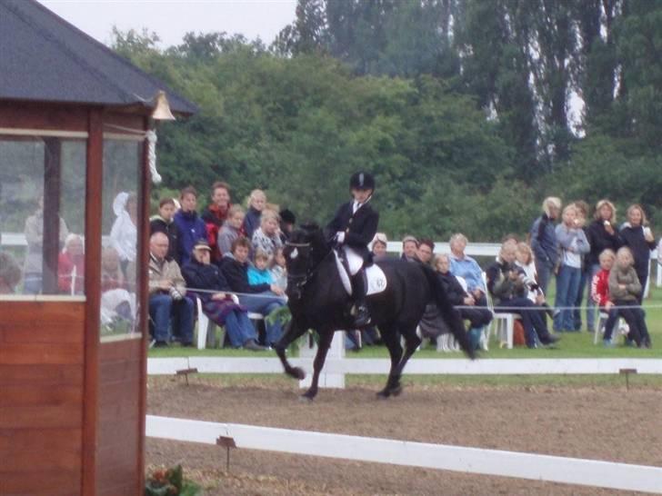 Anden særlig race Magic Manipu (Udlånt) billede 4