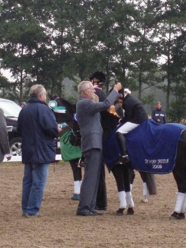 Anden særlig race Magic Manipu (Udlånt) billede 7