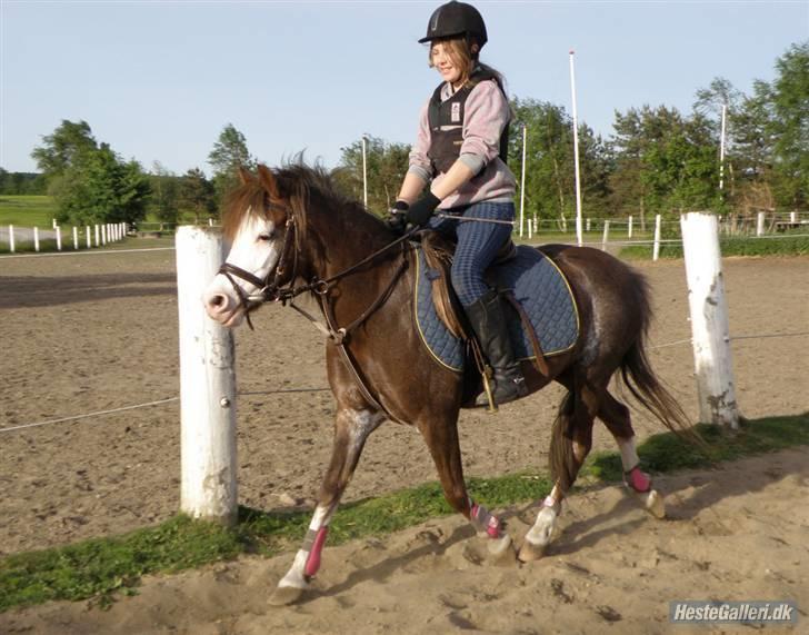 Anden særlig race Askepot - Se lige hende man, hvor er du nusser <333 ILU <33 taget af: Pia Lundberg (: billede 15