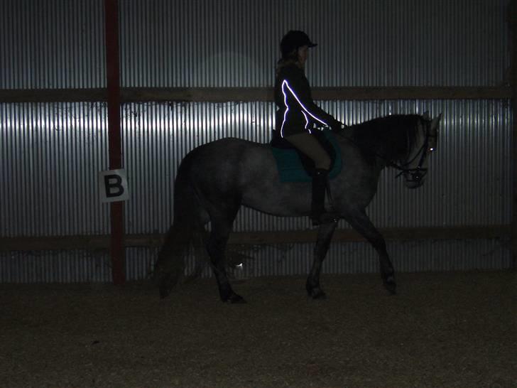 Anden særlig race robert ***SOLGT*** - en af de første trænings dage sammen billede 2