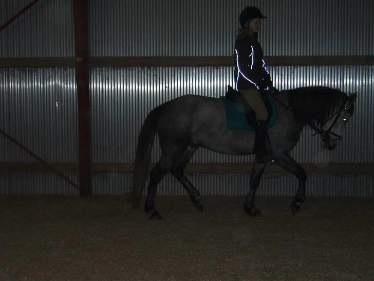 Anden særlig race robert ***SOLGT*** billede 4