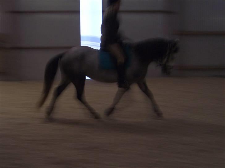 Anden særlig race robert ***SOLGT*** billede 5