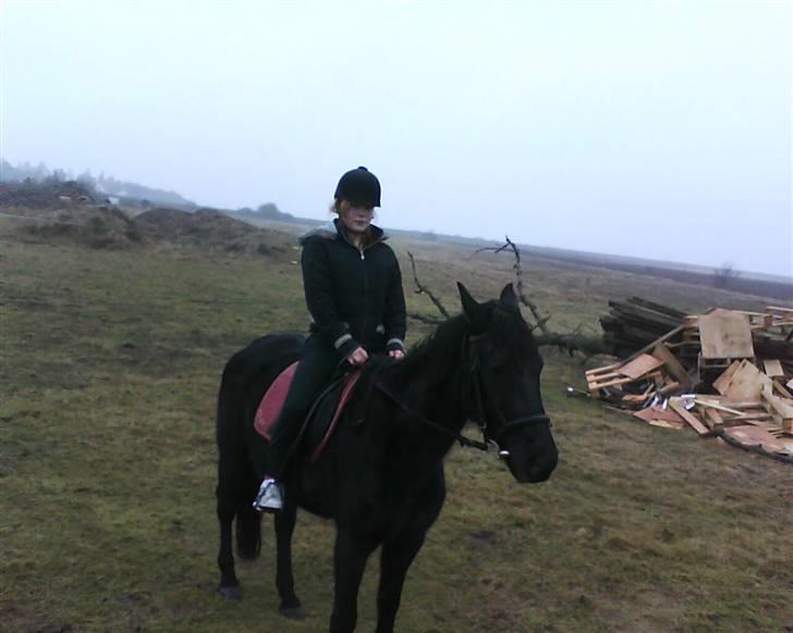 Traver Rolet Bangsbo solgt:'( billede 18