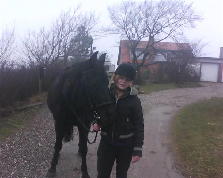 Traver Rolet Bangsbo solgt:'( billede 19