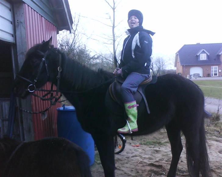 Traver Rolet Bangsbo solgt:'( - ditte fik en lille træk tur  billede 20