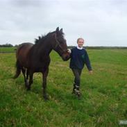 Anden særlig race LindeGaarden's Chablis:) 