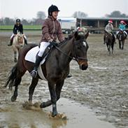 Anden særlig race LindeGaarden's Chablis:) 