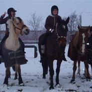 Anden særlig race LindeGaarden's Chablis:) 