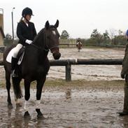 Anden særlig race LindeGaarden's Chablis:) 