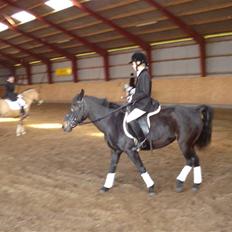 New Forest gl part:´( Bonette<3