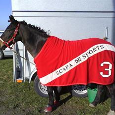 Anden særlig race Victor