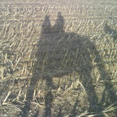 Oldenborg Fabrina ' Min mors