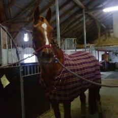 Oldenborg Fabrina ' Min mors