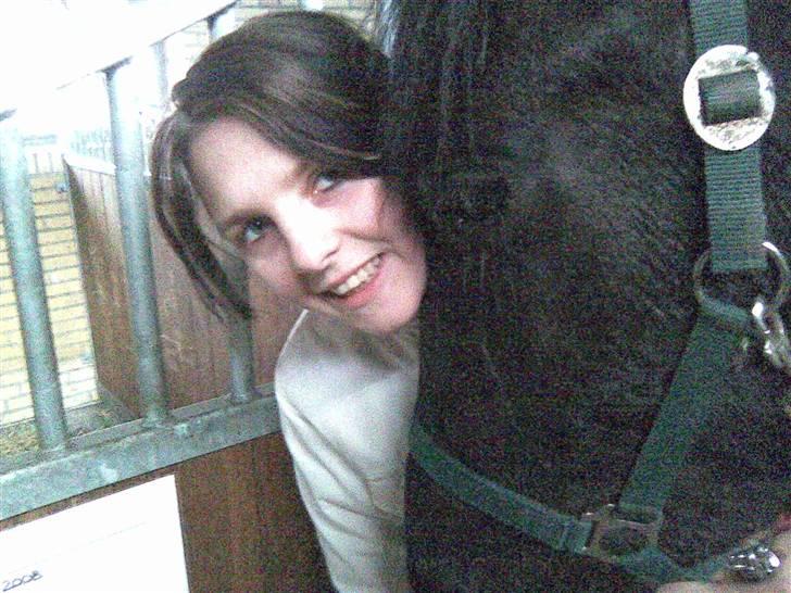 Barockpinto Malou. SOLGT :'( billede 4