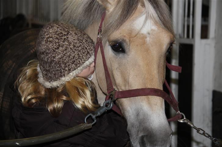 Anden særlig race Sylvester (Udlånt) - Fordi alle elsker Sylle - Min lille kusine, hans største fan. Foto: Kusine billede 2